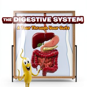Science Comics Anatomy Adventure by First Second Kids Graphic Novel-0